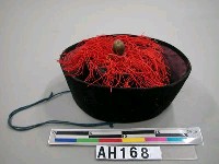 藏品(禮帽)的圖片